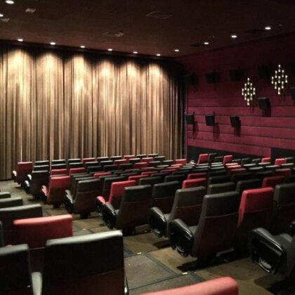 movie theatres movies theaters film films cinema cinemas hong kong whats on palace ifc