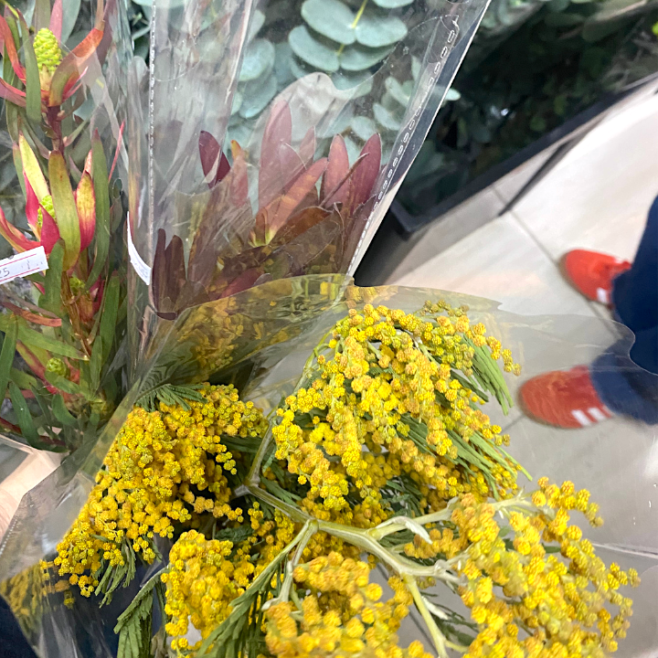 Hong Kong Flower Market Guide, Mong Kok Flower Market: Some Flowers, Prince Edward Road West